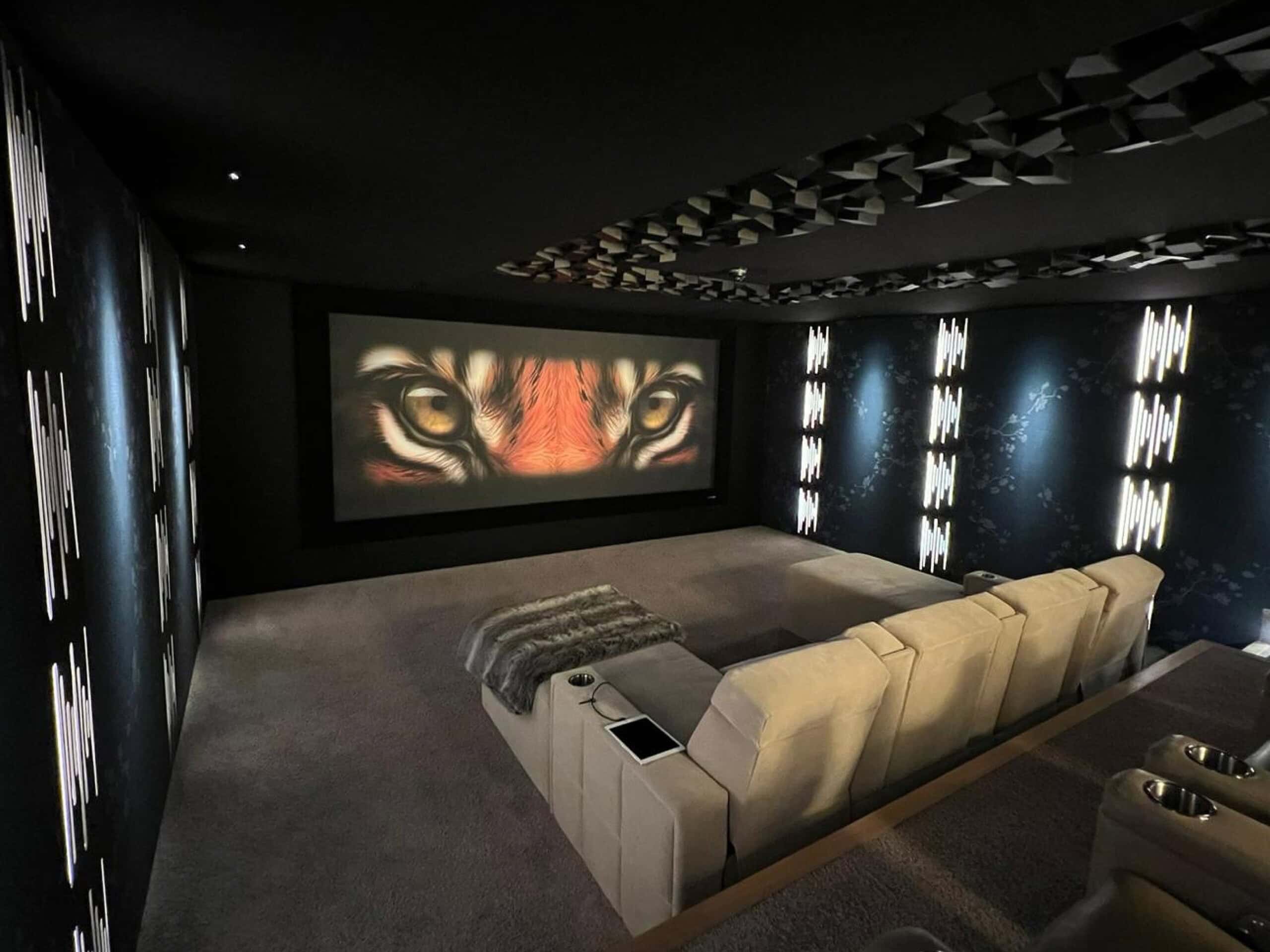 Cinema Showroom